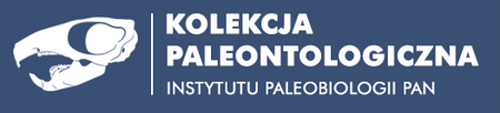 Baza danych kolekcji
